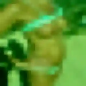 Photo de Ngan à Orée d'Anjou (27 ans) - rencontre japonaise anonyme