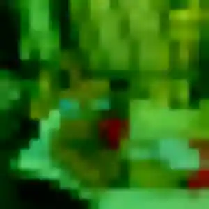 Profil de Hanh à Orléans (37 ans) - rencontre japonaise gratuit