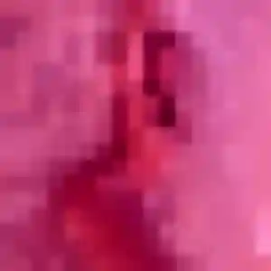 Profil de Koharu à Ormesson-sur-Marne (31 ans) - rencontre japonaise discret