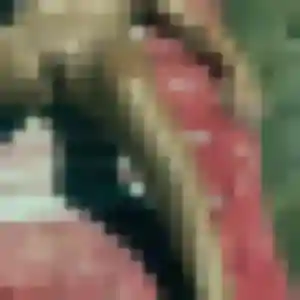 Pla, 29 ans, veut un rencontre japonaise à Orsay