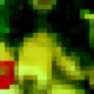 Photo privée de Xuan, 38 ans à Orsay - rencontre sans lendemain