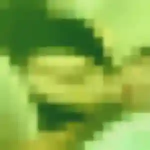 Profil de Vivian à Orthez (44 ans) - rencontre japonaise gratuit