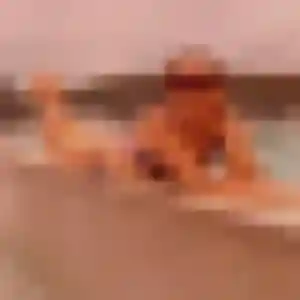 Bo de Oyonnax, 40 ans - rencontre japonaise discret