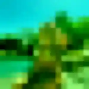 Pim, 38 ans, dispo pour rencontre japonaise à Ozoir-la-Ferrière