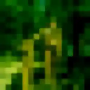 Profil de Soo-Yeon à Palaiseau (27 ans) - rencontre japonaise sans inscription