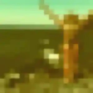 Ting de Palaiseau, 38 ans - rencontre japonaise discret