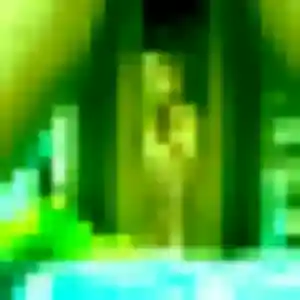 Koharu de Pamandzi, 44 ans - rencontre japonaise discret