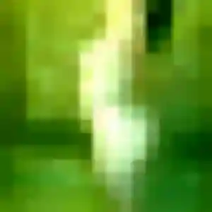 Profil de Ayumi à Pantin (22 ans) - rencontre japonaise sans inscription