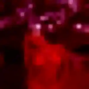 Photo privée de Dolores, 39 ans à Pantin - rencontre sans lendemain