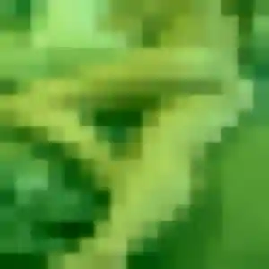 Profil de Tina à Pantin (44 ans) - rencontre japonaise gratuit