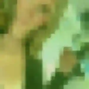 rencontre japonaise à Perpignan : profil de Van, 34 ans - inscription gratuite