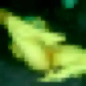 Bianca, 43 ans, en ligne à Persan pour un rencontre japonaise