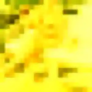 Rencontre Risa, 35 ans à Pessac gratuitement