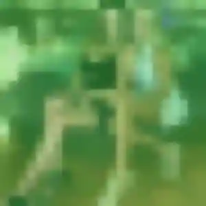 Découvre Tina, 23 ans à Petite-Île gratuitement