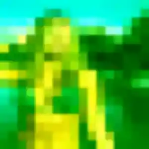 Profil de Di à Plaisir (39 ans) - rencontre japonaise anonyme