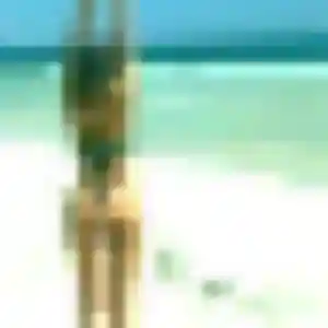 Dong, 32 ans, cherche un rencontre japonaise à Plan-de-Cuques