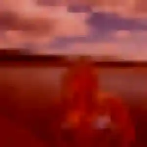 Lawan, fille de 34 ans propose rencontre japonaise à Plan-de-Cuques