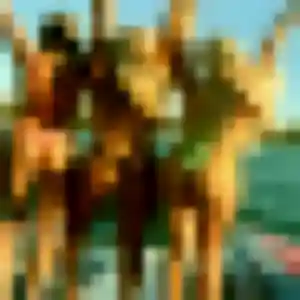 Profil de Tawan à Plérin (32 ans) - rencontre japonaise gratuit