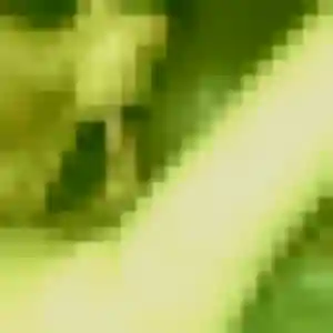 Nan (31 ans) à Ploufragan cherche une rencontre ce soir