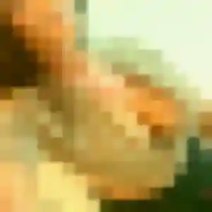 Izumi de Plougastel-Daoulas, 26 ans - rencontre japonaise sans prise de tête