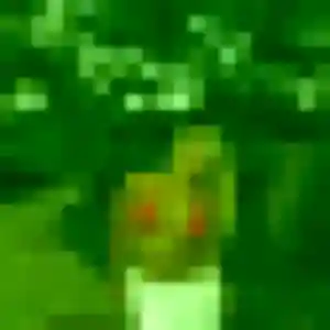 Wan, 36 ans, en ligne à Plougastel-Daoulas pour une rencontre coquine