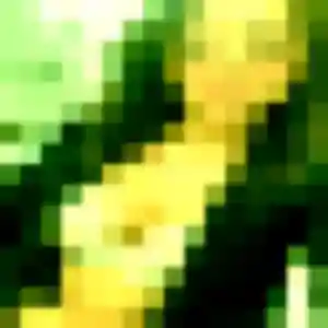 rencontre japonaise à Pont-du-Château : profil de Dong, 41 ans - accès libre