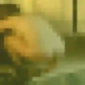 Photo perso de Dung, 43 ans à Pont-Saint-Esprit - rencontre coquine