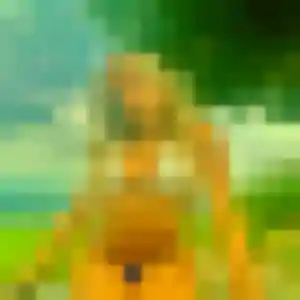 Miho (38 ans) à Pontivy cherche une rencontre maintenant