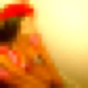 Photo de Thu à Pornic (34 ans) - rencontre japonaise sans inscription