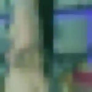 rencontre japonaise à Pornichet : profil de Da-In, 42 ans - inscription gratuite