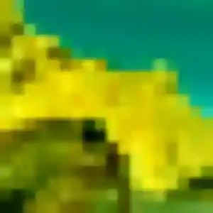 Er, 38 ans, veut un rencontre japonaise à Quimperlé