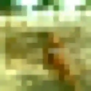 rencontre japonaise à Raismes : profil de Hanako, 45 ans - sans engagement