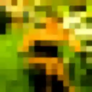 Mayumi, fille de 38 ans cherche rencontre japonaise à Raismes