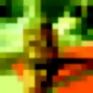 Tsubasa, 45 ans, dispo pour rencontre japonaise à Raismes