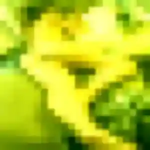 Rejoins Kwan, 39 ans à Riedisheim en t'inscrivant