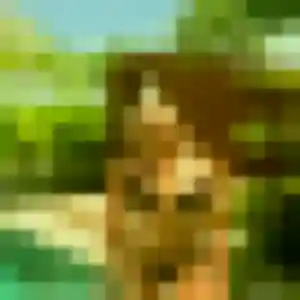 Angelica, 26 ans, cherche un rencontre japonaise à Rixheim