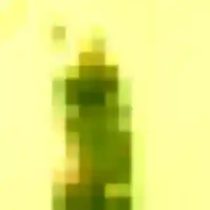 Wakana, 29 ans, veut un rencontre japonaise à Rodez