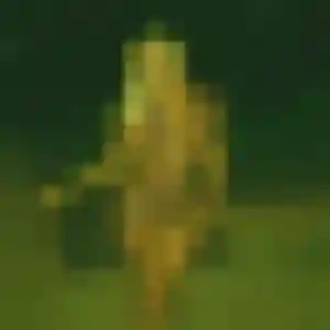 rencontre japonaise à Roissy-en-Brie : photo de Shan, 44 ans - sans engagement