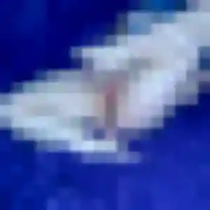 Découvre Sumire, 36 ans à Romilly-sur-Seine en privé