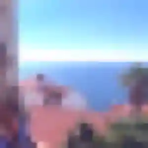 Profil de Tamaki à Ronchin (39 ans) - rencontre japonaise gratuit