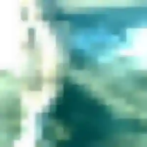 Hana, fille de 33 ans veut rencontre japonaise à Roquebrune-sur-Argens