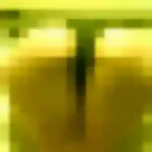 Profil de Tina à Roubaix (31 ans) - rencontre japonaise gratuit