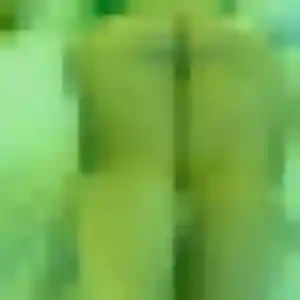 Photo sexy de Kiyomi, 40 ans à Royan - rencontre sans lendemain