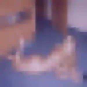 Rejoins Madoka, 30 ans à Royan en privé