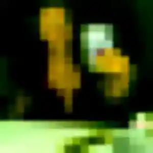 Sexy Neary, 44 ans à Royan - découvrir son profil