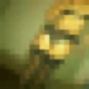 rencontre japonaise à Rumilly : profil de Tam, 35 ans - accès libre