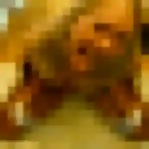 Chang, 34 ans, disponible à Saint-Amand-les-Eaux pour un rencontre japonaise