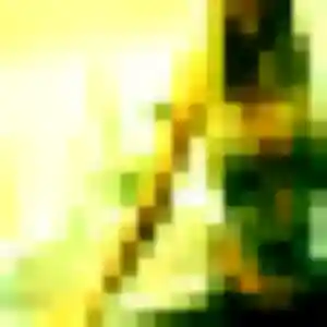 Nok, fille de 27 ans propose rencontre japonaise à Saint-André-lez-Lille