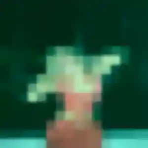 rencontre japonaise à Saint-André-lez-Lille : profil de Pim, 25 ans - inscription gratuite