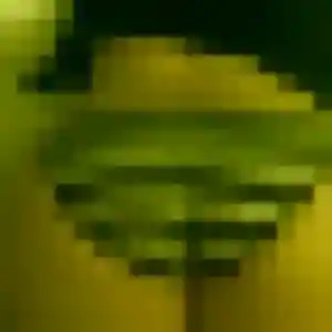 Quynh, fille de 32 ans cherche rencontre japonaise à Saint-Avé